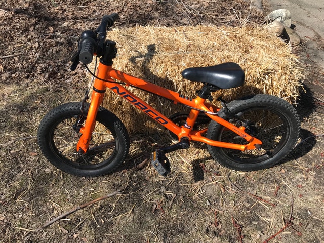 kijiji norco