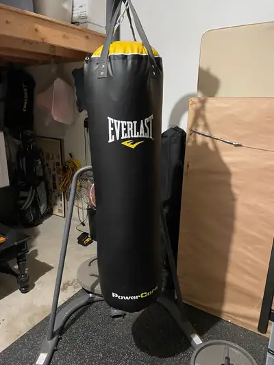 Everlast Punching Bag + Stand/weights + under carpet, View more