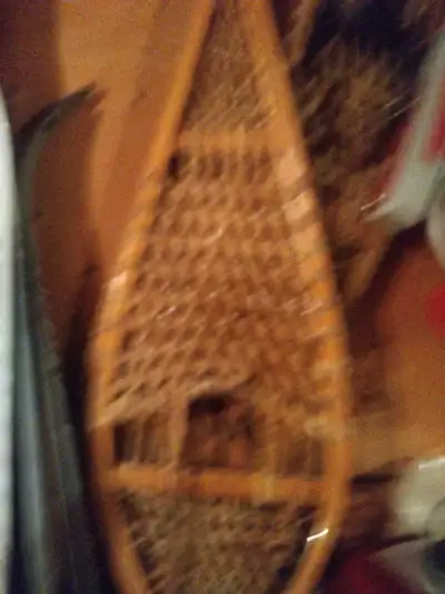 Louis Garneau Snowshoes 14x48, View more