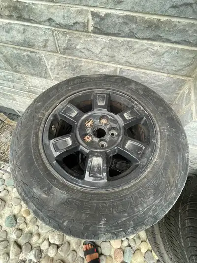 Honda Ridgeline OEM factory rims, professionally powder-coated black. Rims are in excellent conditio...