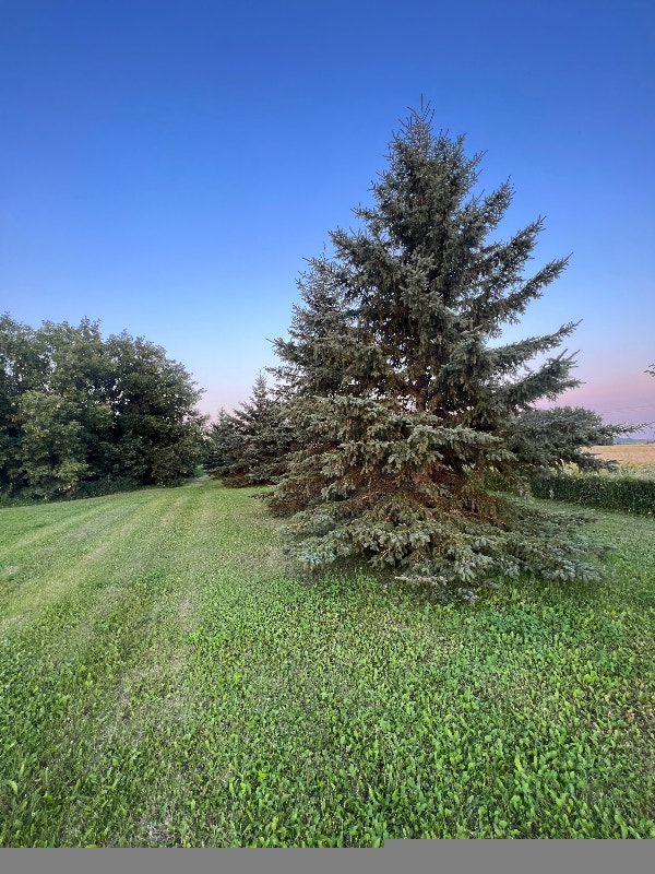 Acreage For Rent. Currently Listed with Remax MLS A2065398 Long Term