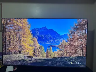TCL Q5 65" 4K UHD HDR QLED Google TV Smart TV (65Q550G-CA), View more