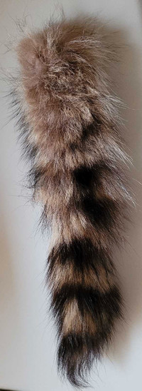 Natural Raccoon Tail Handbag Tag or Keychain 