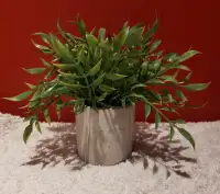 Petite Plante artificielle en pot  7 pouces de haut