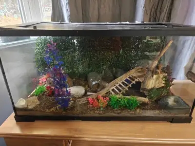 Aquarium & Accessories, View more