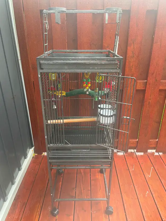 Bird cage in Accessories in St. Catharines - Image 3