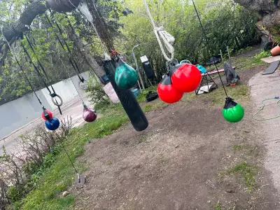 gym house room for rent pet friendly