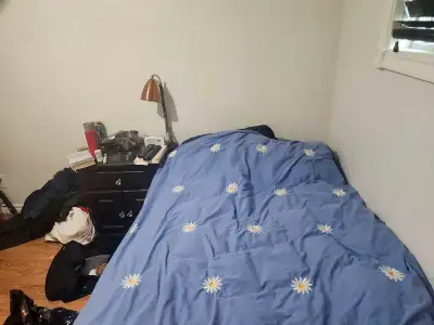 Room for rent weed friendly