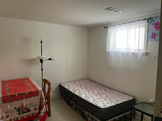 BRIGHG ROOM BASEMENT-50m TO PLAZA STEELES AND BATHURST NEAR BUS