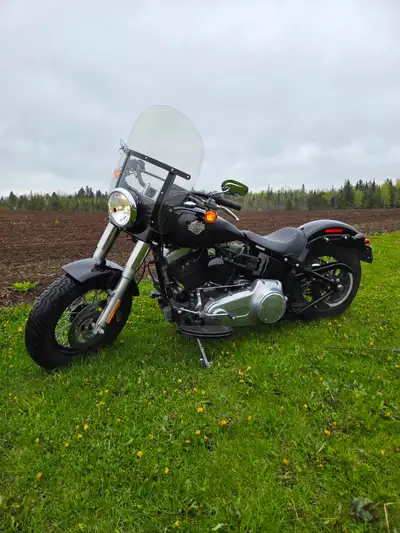 2016 Harley Davidson Softail Slim FLS. Original owner. Oil changed regularly. The bike was never dro...