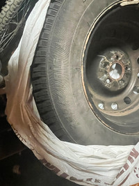 GUC Winter tires on rims for sale