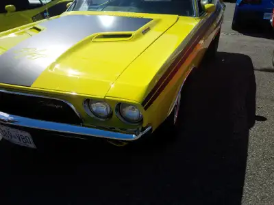 APPRAISAL, AUTO CAR SERVICE ONT, INSURANCE 416-455-3557 os, View more