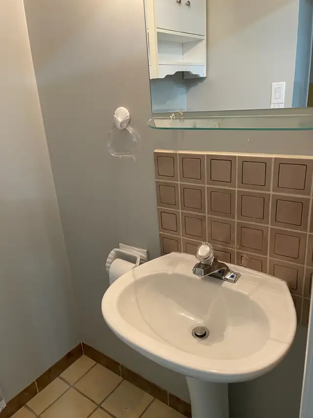 Two bedroom walkout basement in Long Term Rentals in Mississauga / Peel Region - Image 10