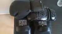 Reevo Eclipse Boxing Gloves 16oz $40. / Fight Thai Pads $40