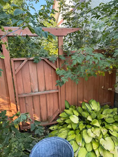 Fence for sale ( door and Arch ), View more