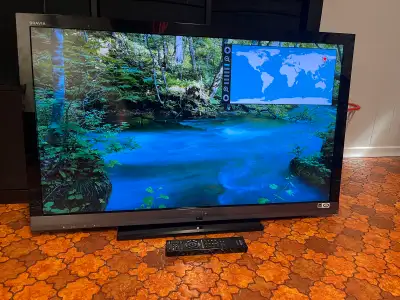 40” Sony Bravia, View more