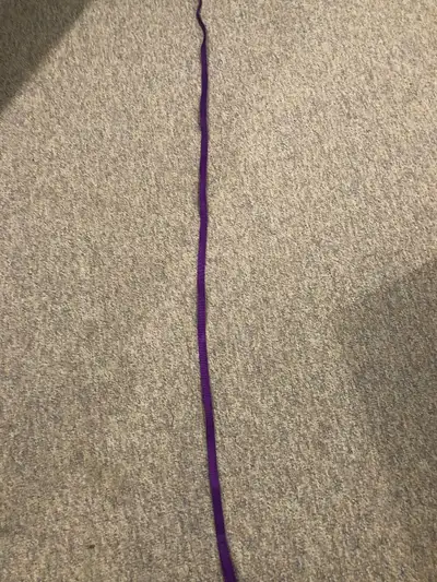 Dog leash 6’, View more