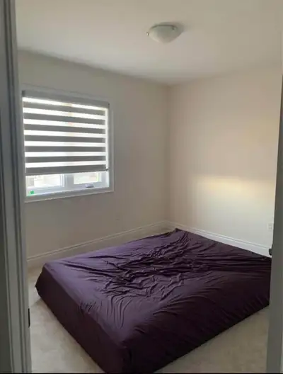 -AVAILABLE Immediately for Girl Main intersection: Holland Street & Westpark in Bradford (L3Z 4H5) B...