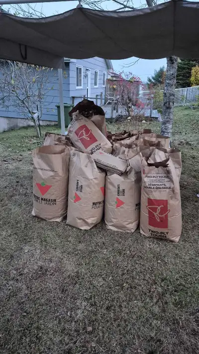 LEAF RAKING / YARDWOR / HANDYMAN SERVICES, View more