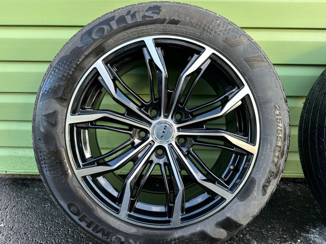 17” RTX rims with summer tires in Tires & Rims in Bathurst