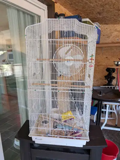 cage oiseaux à vendre, View more