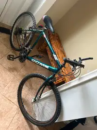Men’s Mountain Bike