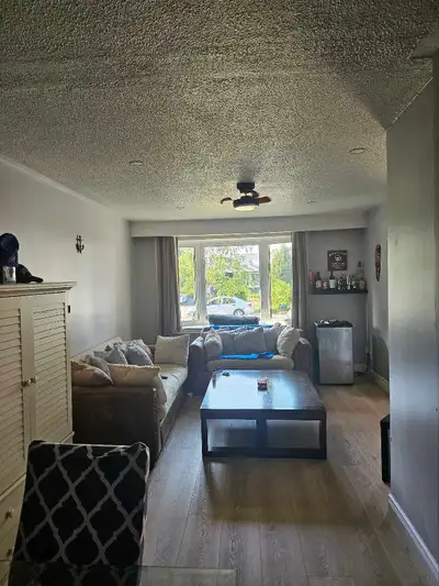 Looking for a roommate, shared living room, shared kitchen, shared bathroom, all utilities included,...