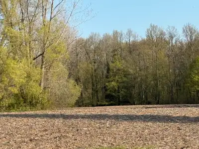 ISO FARM LAND FOR RENT