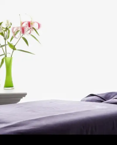 Je suis une massothérapeute agréé (RMT),j’offre du massage suédois et détente. J’offre reçu d’assura...