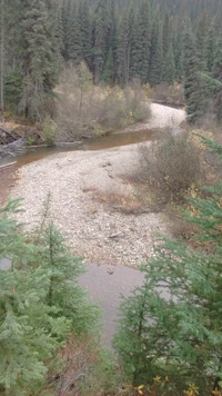 Placer Gold Claim