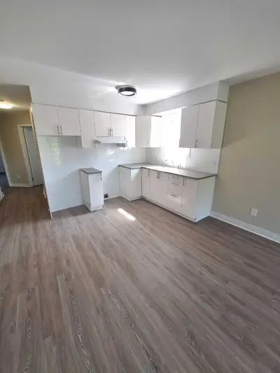 Great 4.5 on Iberville/Rouen Call/ text: 438-398-3112 or Text: 514-575-3163. Next to Metro Frontenac...