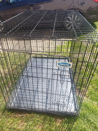 Petsafe X large Dog Crate