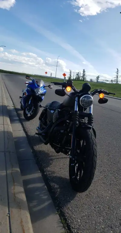 2019 iron 883 with vance and hines short shots exhaust and fp3 tuner Custom headlight and rear licen...