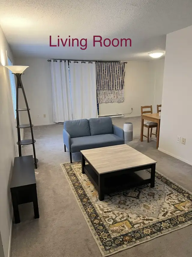 Furnished 2 Bed 1 Bath Luxury Apartment for flexible rental
