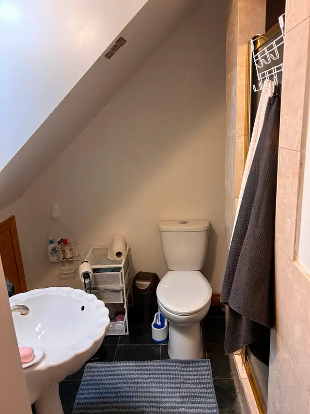 Downtown Toronto looking for roommate63417637690883122