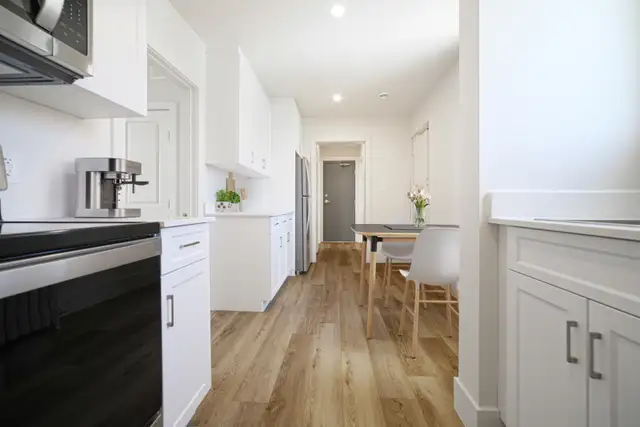 Newly Renovated 1 Bedroom Apartment! Available April 1st!