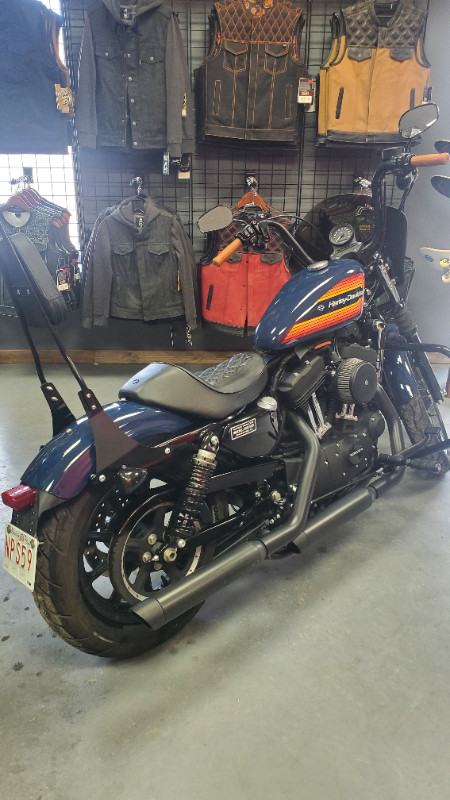 2020 Harley-Davidson Iron XL1200 in Street, Cruisers & Choppers in Edmonton - Image 4