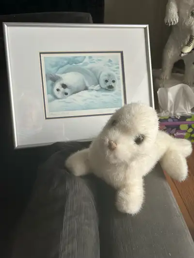Seal Pups Framed Picture/Plush, View more