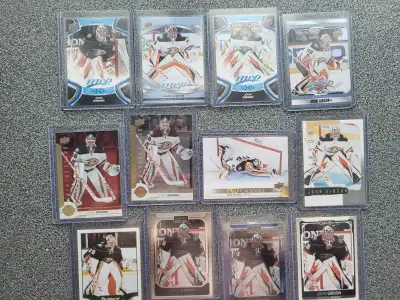 Anaheim Ducks John Gibson 20 Carte Hockey Card, View more