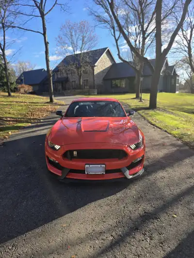 One Owner / Clean Car-Fax / No Accidents / All Service Records from Ford Dealership / All Original K...