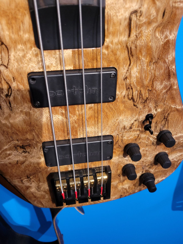 Zon Sonus Custom - 4 string Bass dans Guitares  à Rimouski / Bas-St-Laurent - Image 4