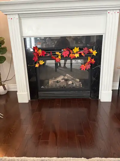 Gas Fireplace for Sale- Whitby, View more
