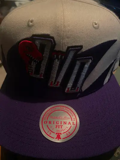2 ovo Toronto raptors snapbacks brand new. 2 for $150