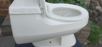 Kohler -San Raphael one piece toilet, retails for $2080