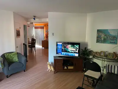 Appartement 4 1/2 à louer 1er août