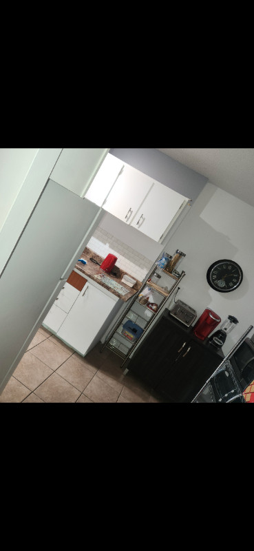 Room for rent in Apartment (LGBTQ+) in Room Rentals & Roommates in City of Toronto - Image 2
