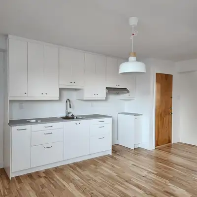 Lumineux et spacieux☀Grand 4 ½ Fraichement rénové/Limoilou