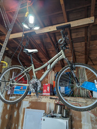 Nakamura Inspire 4.2 mountain bike