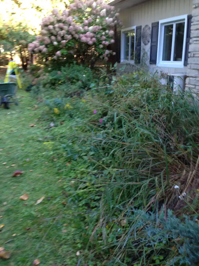 INSIDE/OUT YARD WORK, CLEANING AND ORGANIZING63417619168899124