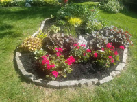 Transform Your Garden with my Help!